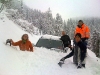 12-auto-im-schnee