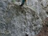 DSC07458