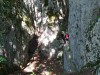 DSC07462