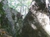 DSC07496